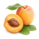 G abricots secs