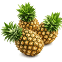 G Ananas