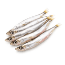 Anchois
