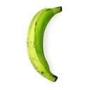Bananes plantain