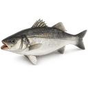 Poudre de soumbara