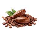 Cacao amer en poudre