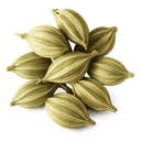 Cuillere à cafe cardamome moulue