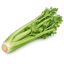 Petite tige de céleri