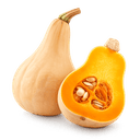 Courge
