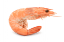 Bouillon cube de crevettes