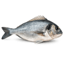 Dorade