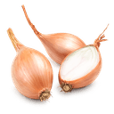 Echalote