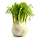 Graines de fenouil moulues