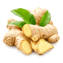 Gingembre frais