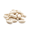 Haricots blancs