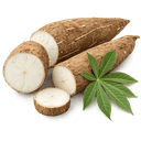G feuilles de manioc pilees