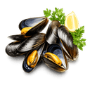 G Sucre semoule