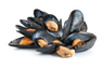 Moules séchées ( trempées et nettoyées) ,