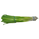 Oignons verts