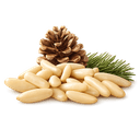 G Pignons de pin
