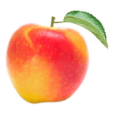 Pomme