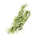 Romarin séché