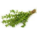 Thym séché