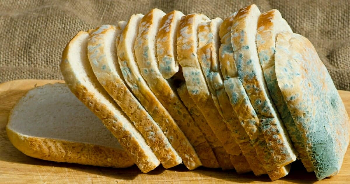 Comment garder le pain frais sans moisissure