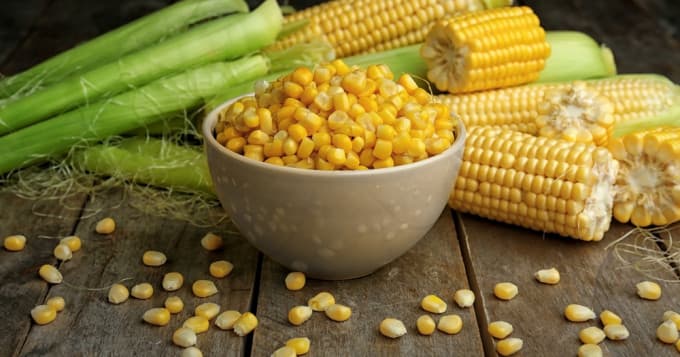 4 Utilisations du maïs jaune dans l&rsquo;alimentation