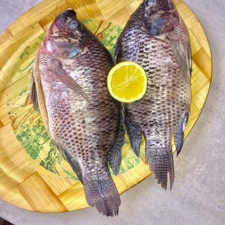 Astuces pour bien nettoyer son poisson