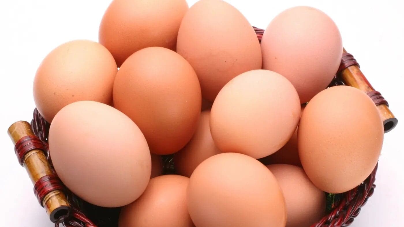 Combien de temps les œufs se conservent-ils?