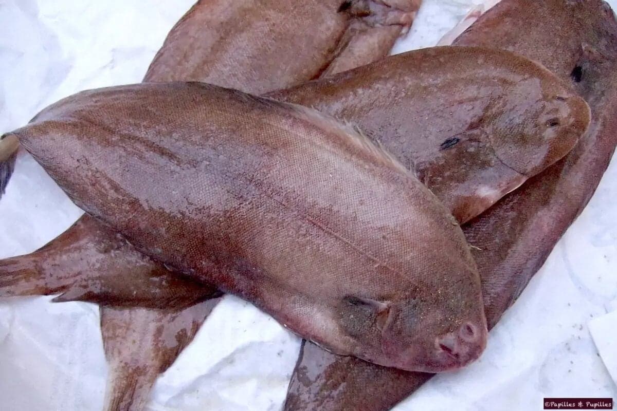 Comment bien choisir la sole ?