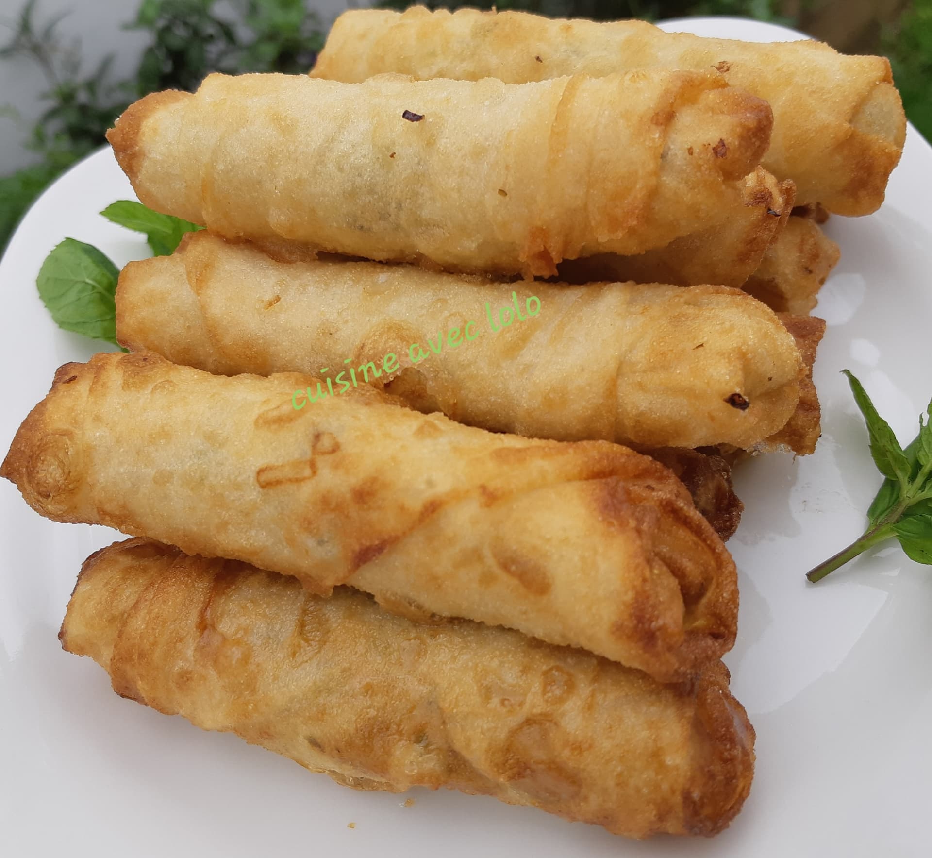 Nems à la viande de bœuf by lolo
