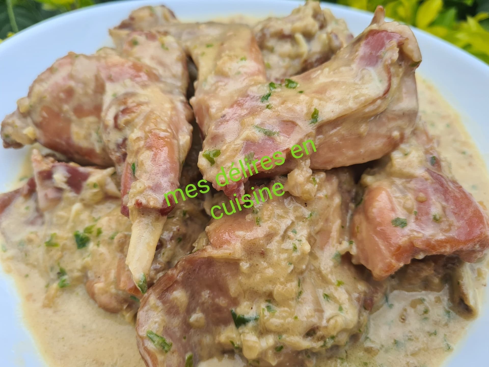 Lapin crémeux by lolo