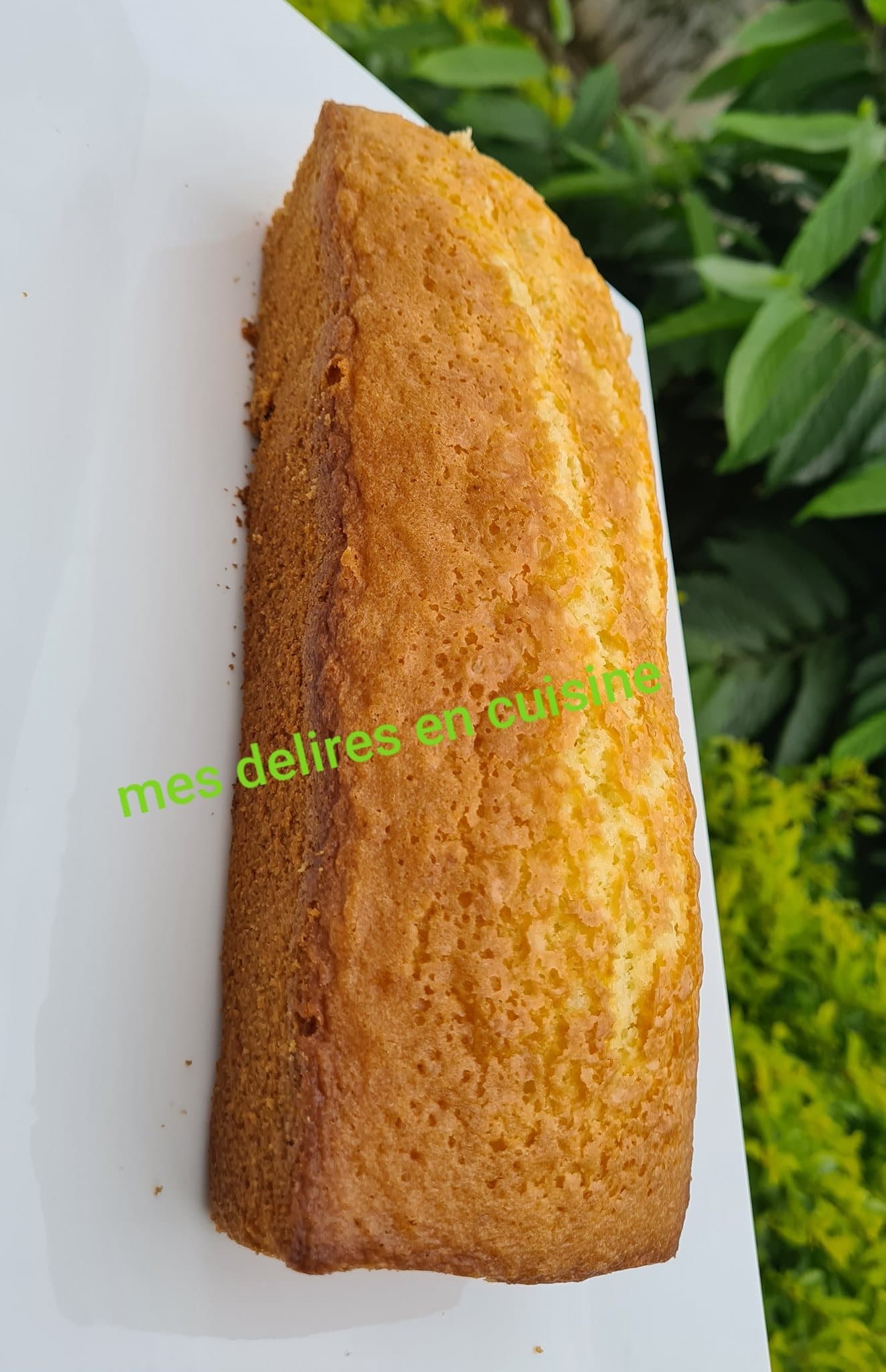 Cake