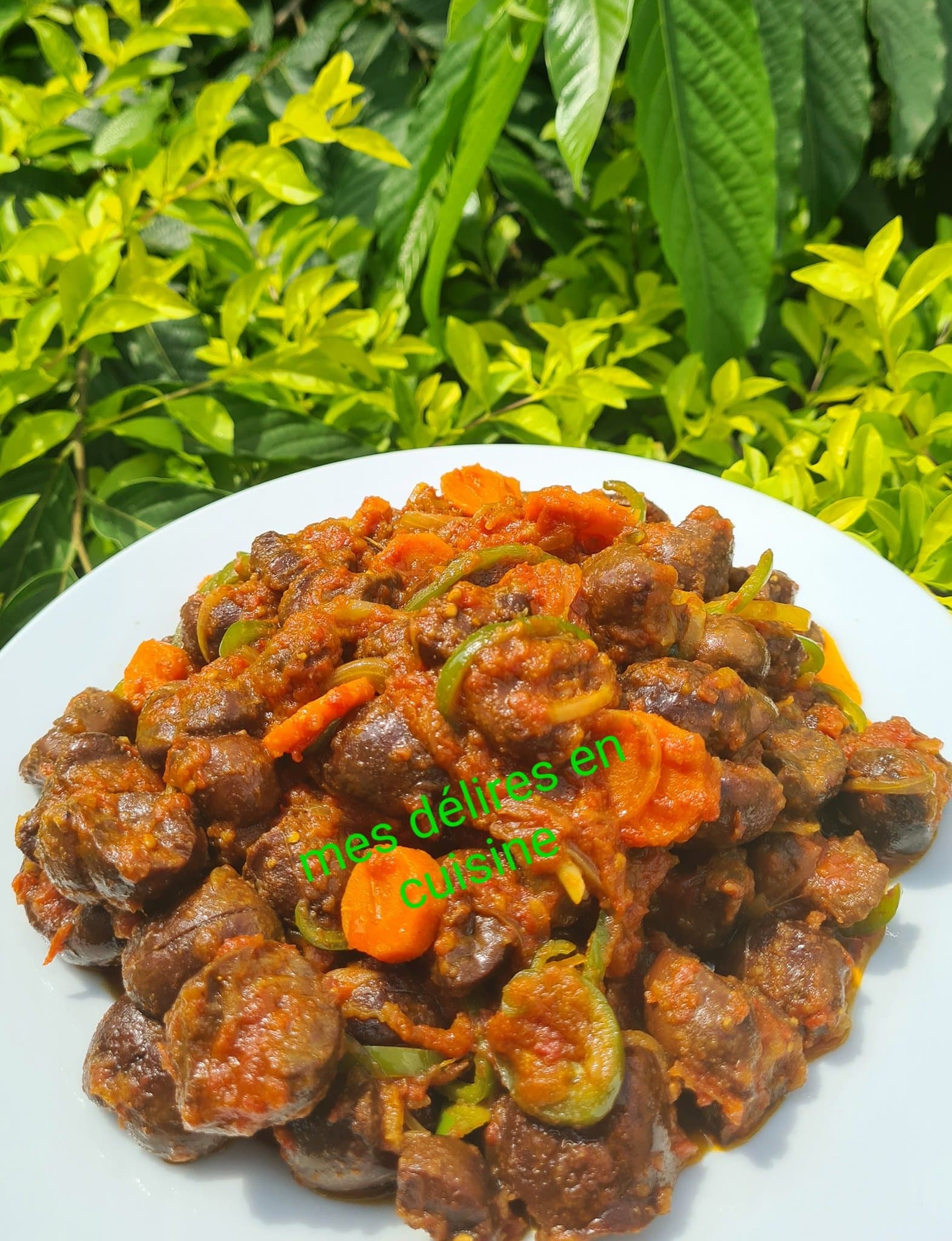 Rognons aux légumes, curry et sauce soja by lolo