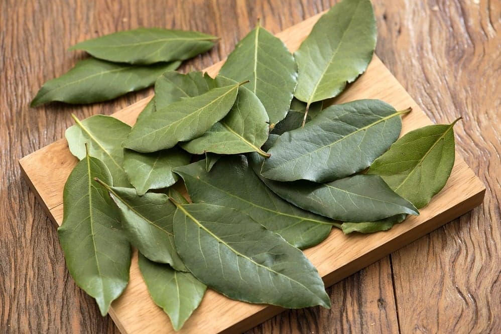 Comment utiliser la feuille de laurier pour cuisiner