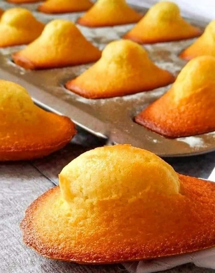 De savoureuses madeleines