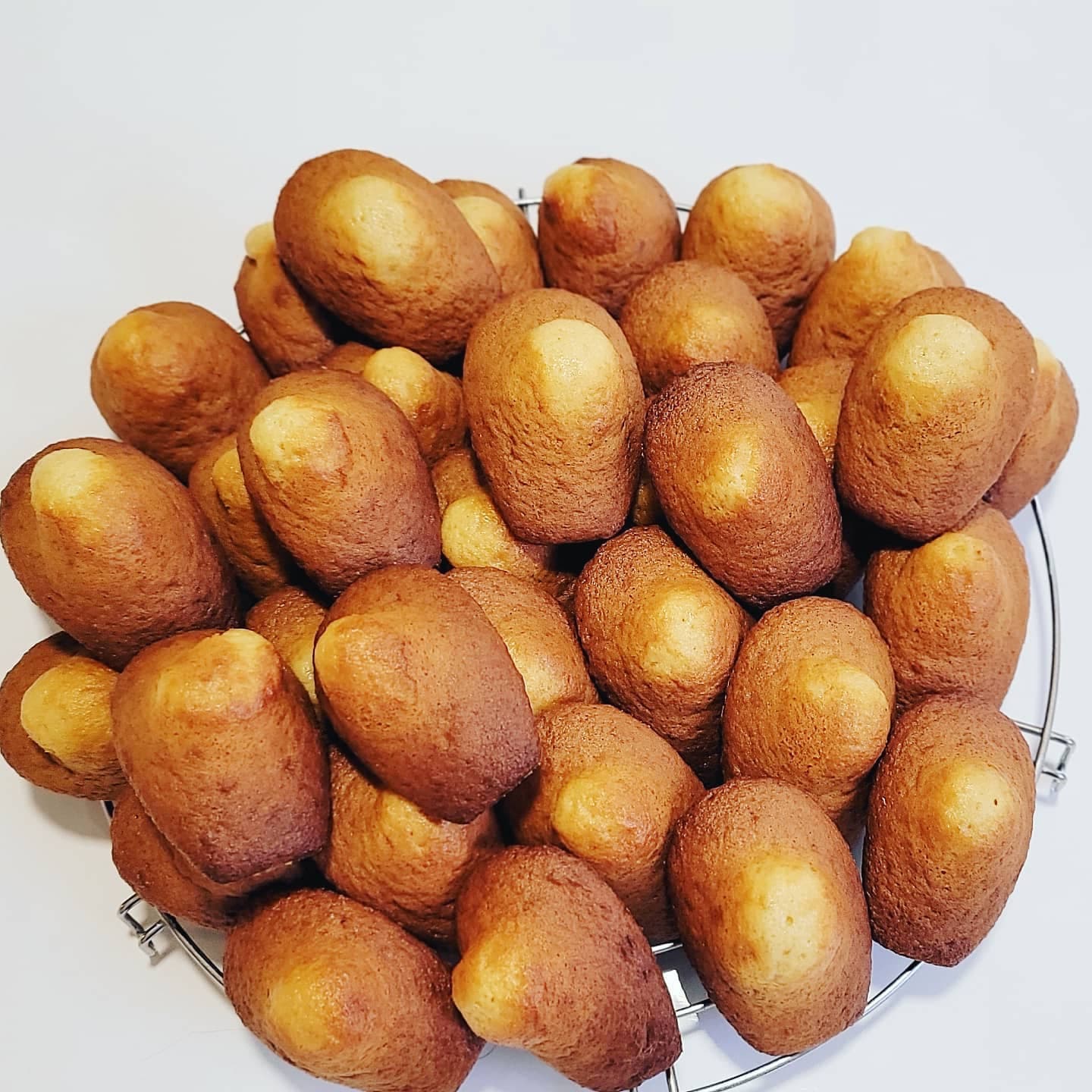 Madeleines