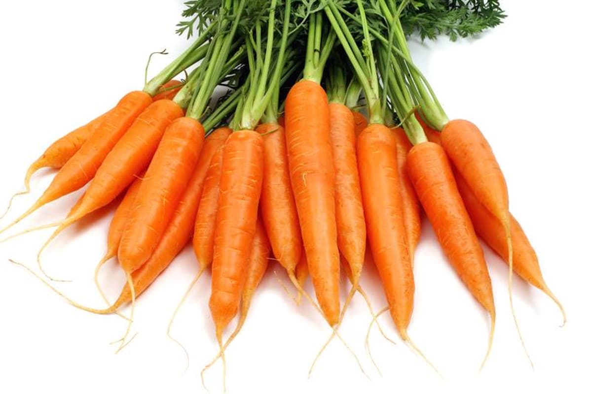 Astuces pour reconnaitre les meilleures carottes.