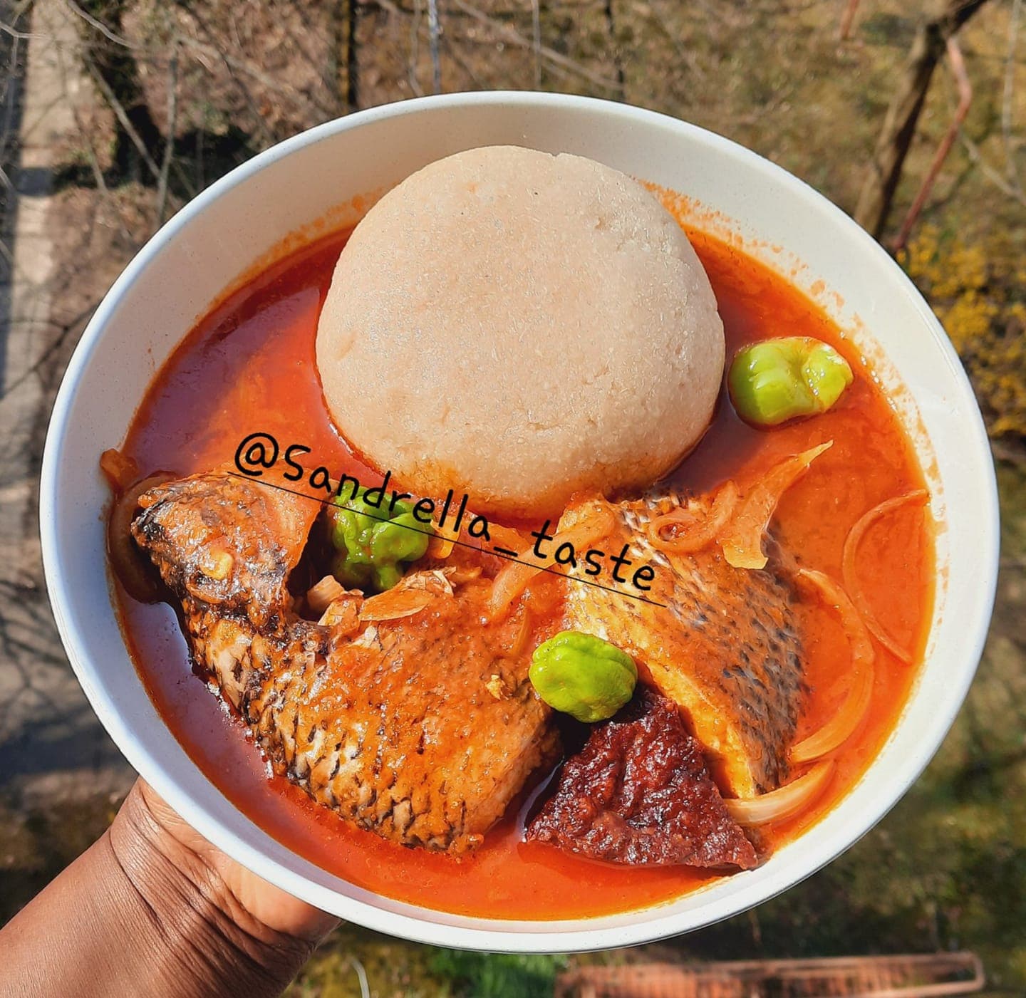 Poisson frais à la sauce tomate
