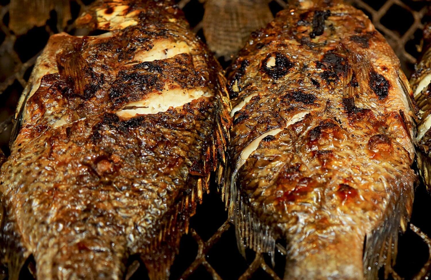 Comment braiser votre poisson sans qu’il ne colle sur le grillage