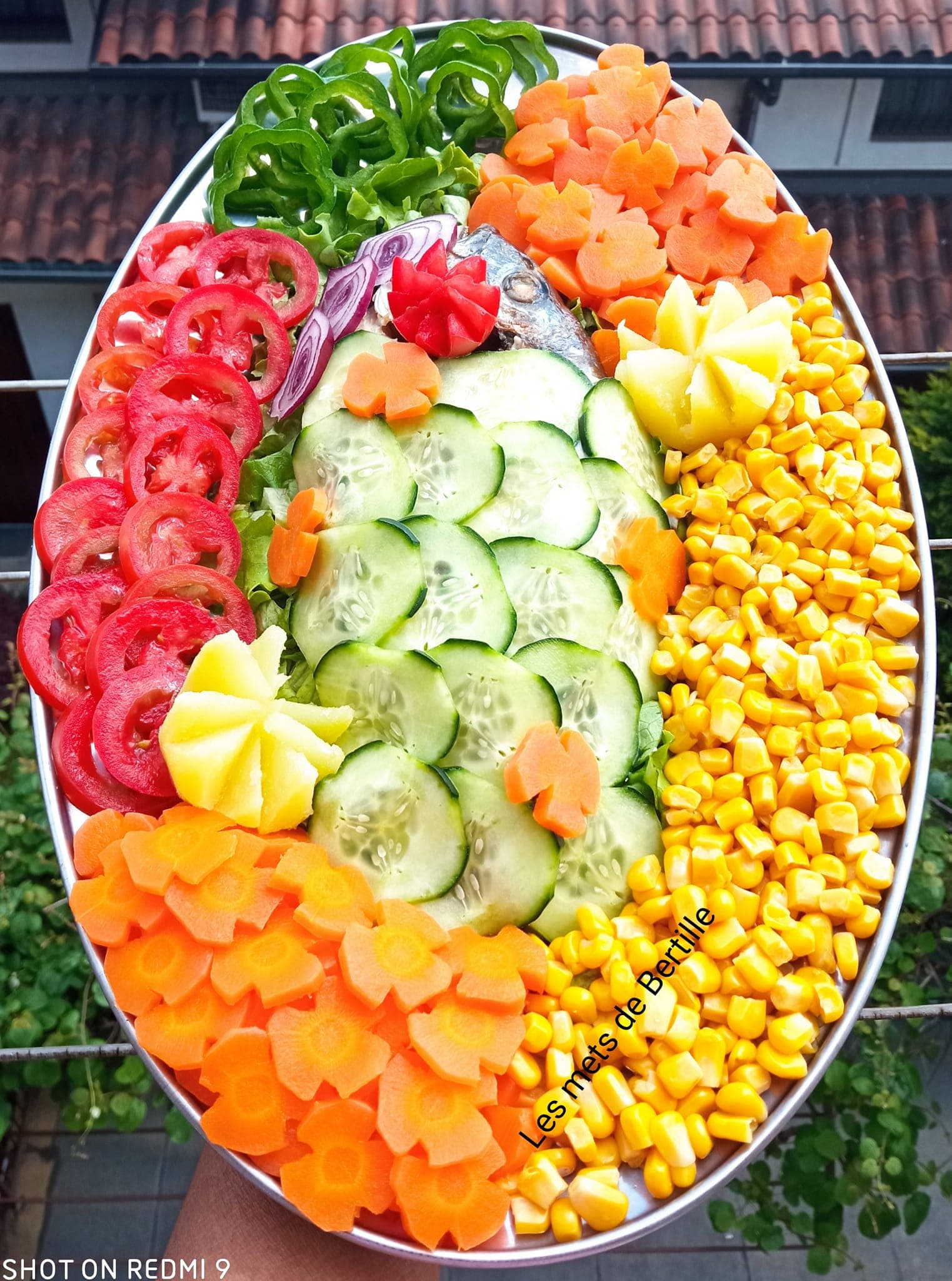 Dorade en mode belle vue