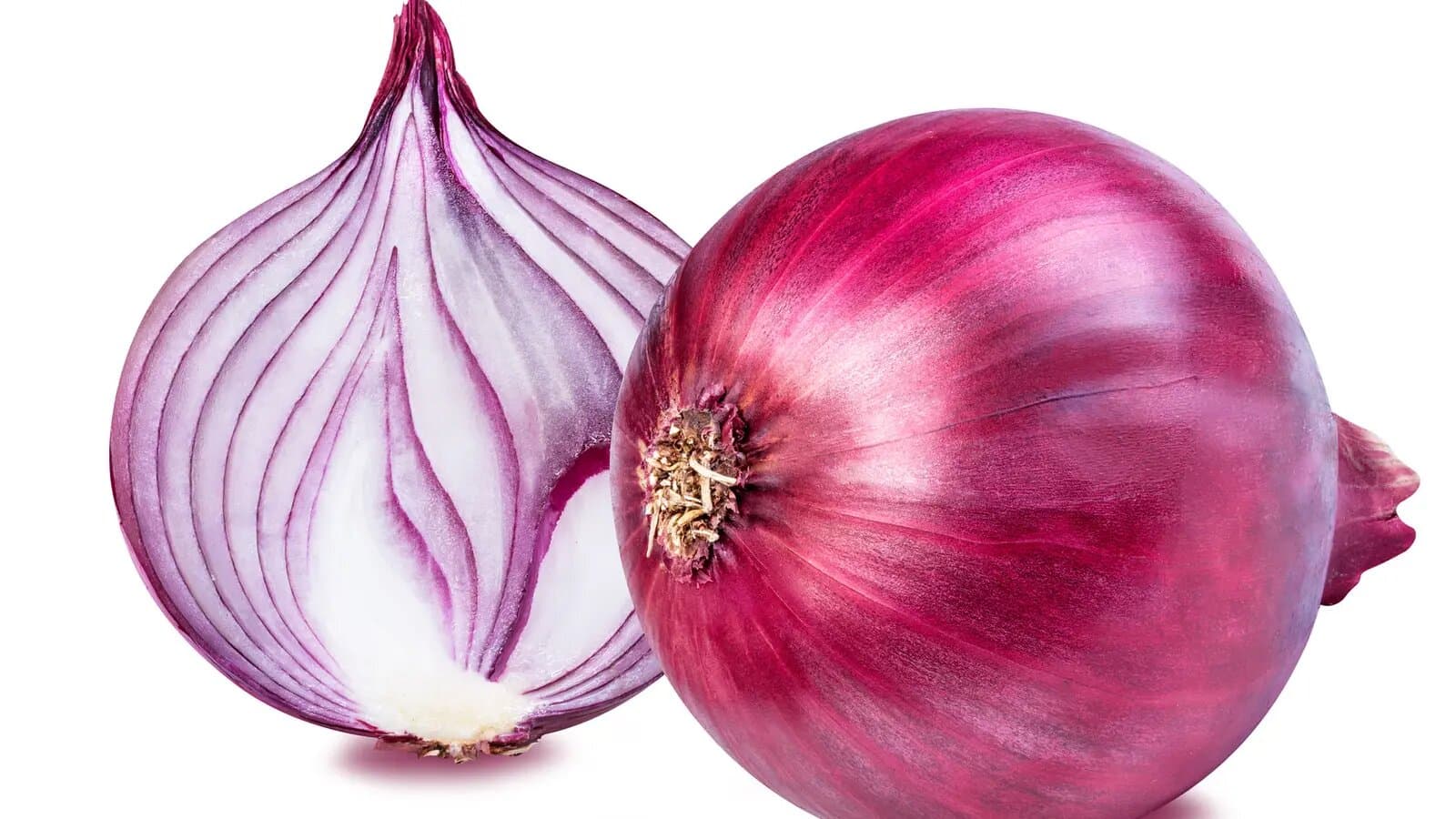 Des astuces pour conserver la moitié d’oignon sur plusieurs jours