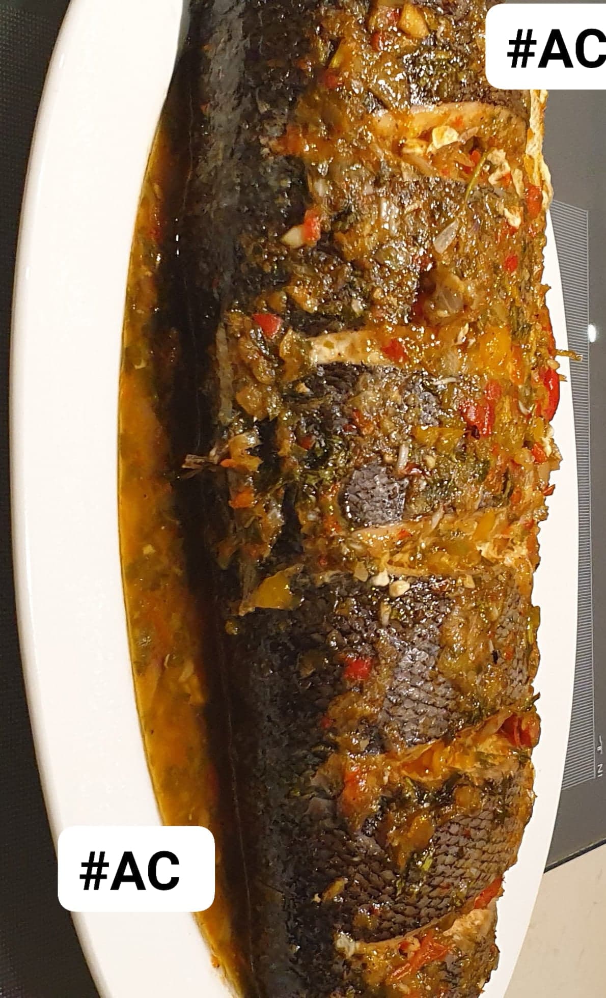 Un saumon très gourmand