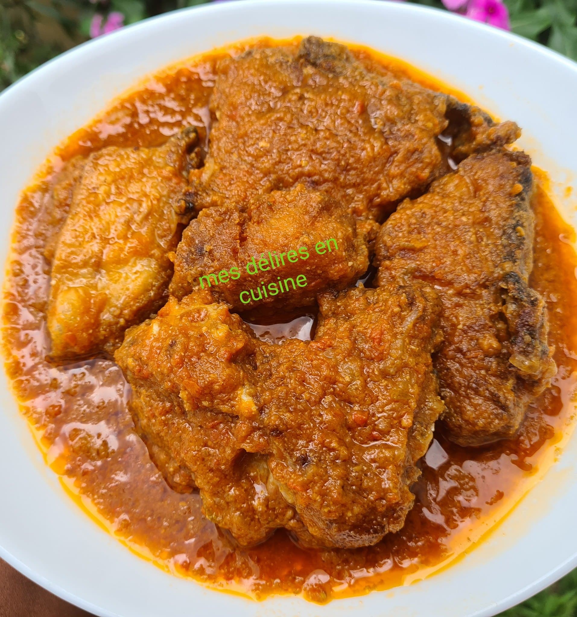 Poisson à la sauce tomate djansan(akpi)