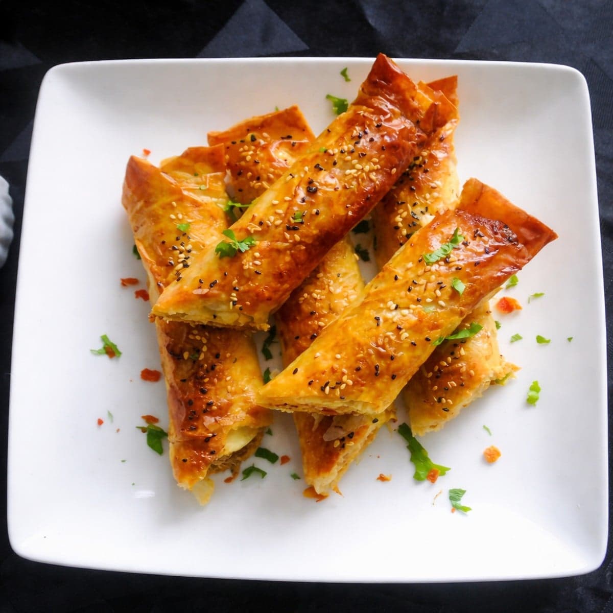 Borek au thon poivron mozzarella
