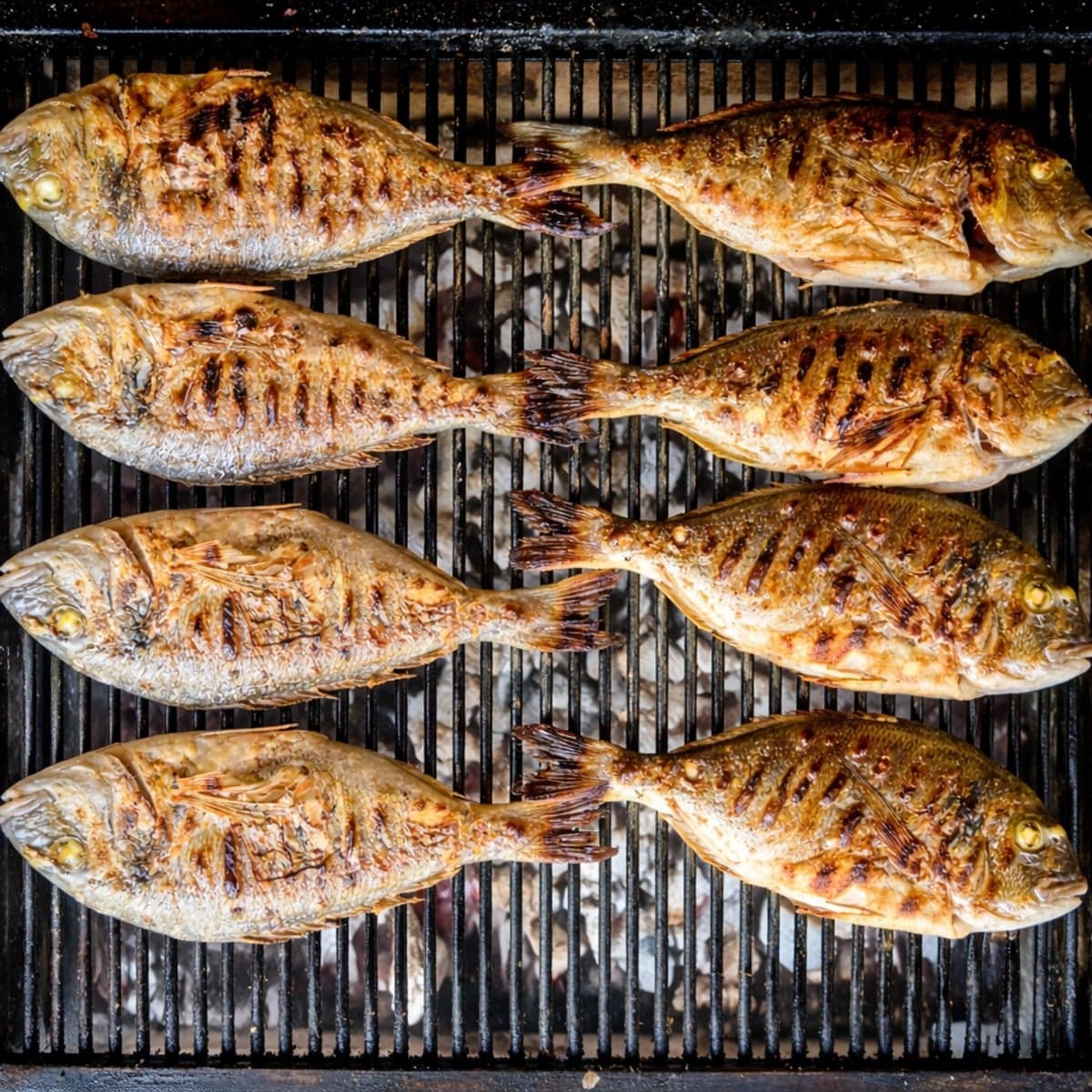 Comment braiser le poisson sans qu’il ne colle sur le grillage ?