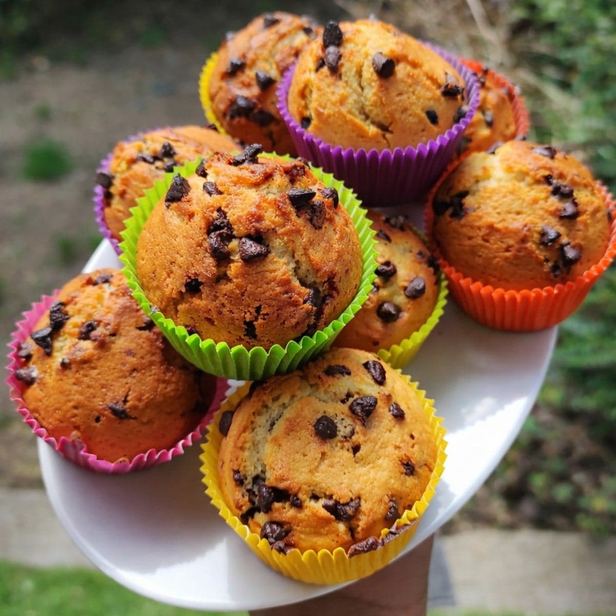 Muffins aux pépites de chocolat