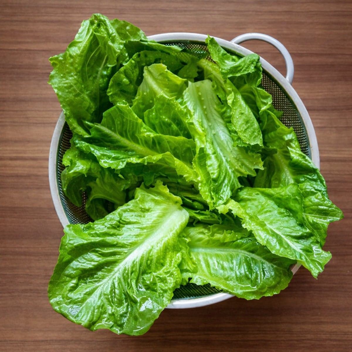 Comment récupérer une salade flétrie ?