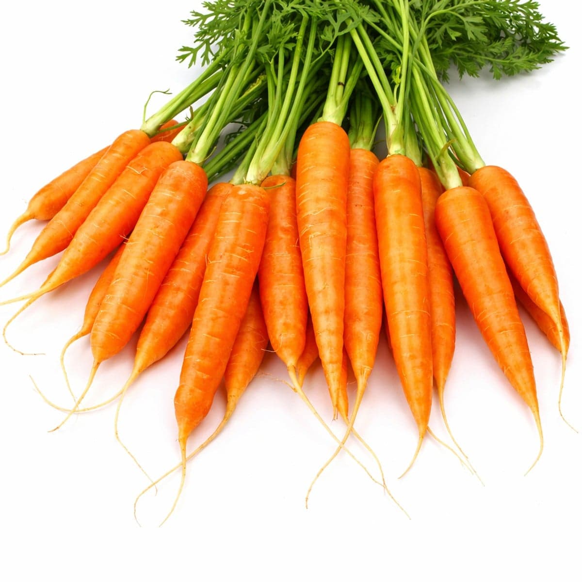 Astuces pour reconnaitre les meilleures carottes.