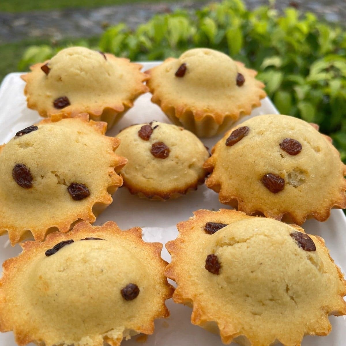 Cake aux raisins