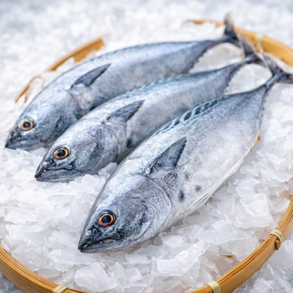 Comment conserver et congeler du poisson?