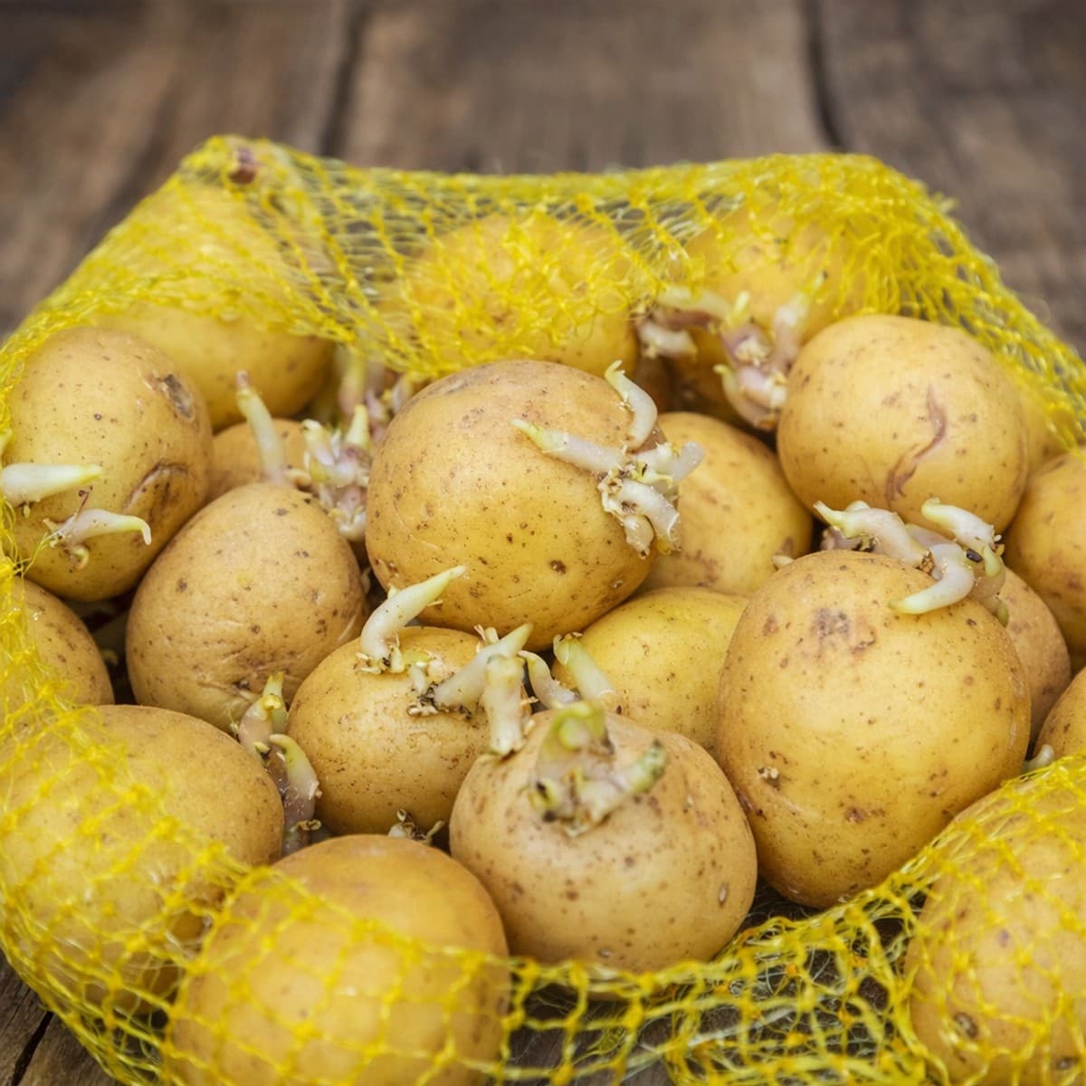 Comment empêcher les pommes de terre de germer ?